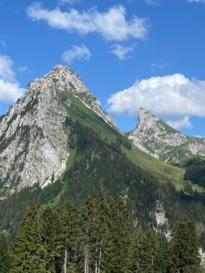 In den Alpen liegt die Waldgrenze zwischen 1800 und 2200 Metern, wobei die genaue Lage stark von lokalen Faktoren wie Hangneigung, Exposition und Kleinklima abhängt.